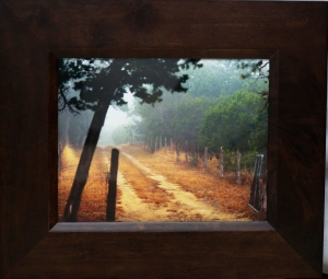 Foggy Path framed web