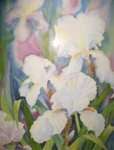 levans-white-iris
