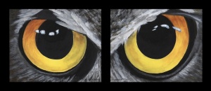 Owl Eyes-2