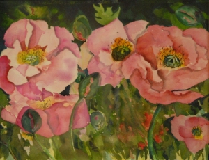 pink poppies